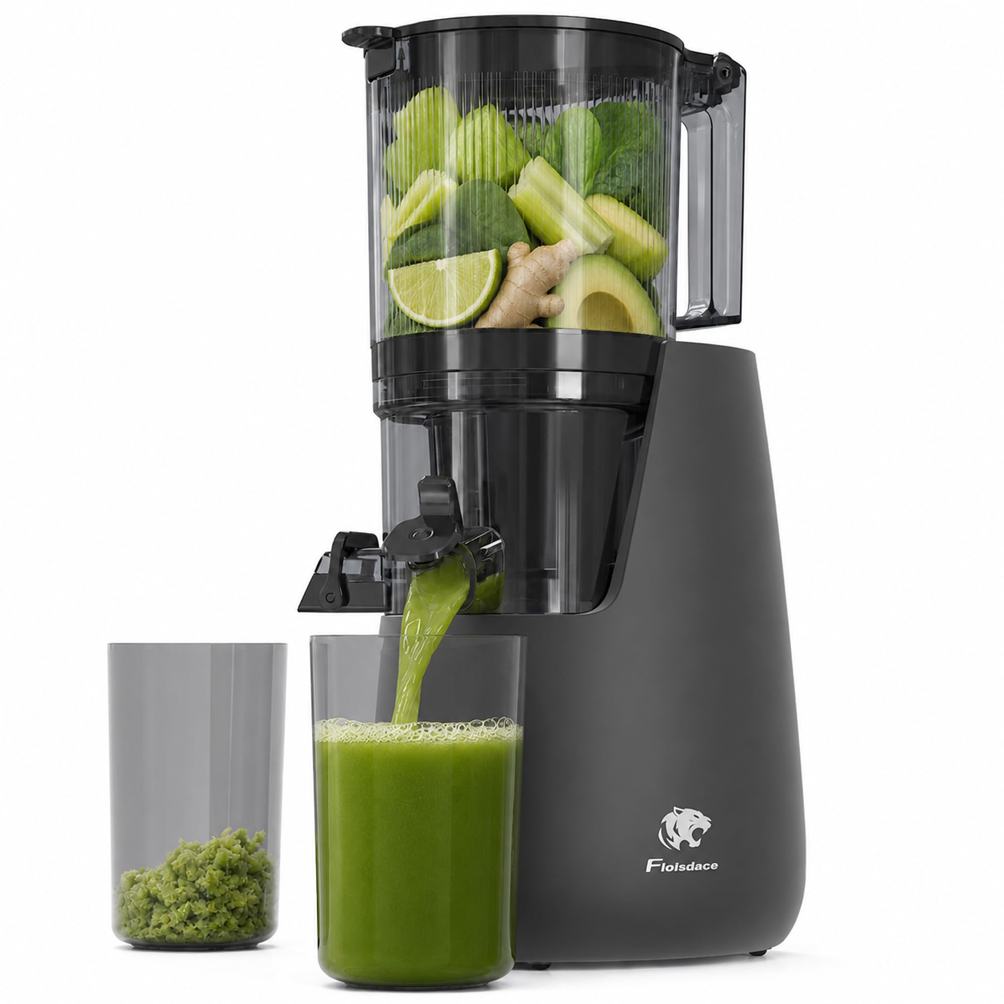 Cold Press Juicer, 6" Extra Large Feed Chute Slow Masticating Juicer Machines, Powerful AC Brushless Motor, Self Precut System, Juicer Machines with BPA-Free, Extra one Replace juicer strainer