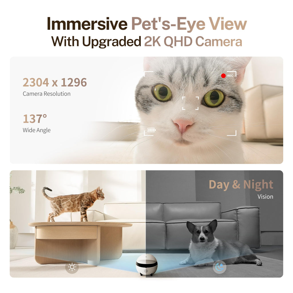 Enabot EBO ROLA Mini FamilyBot 2K Pet Camera Robot: Movable Indoor Camera Battery-Powered with Phone App, One-Touch Call, 2-Way Talk, Night Vision, Motion Detection, Video Recording