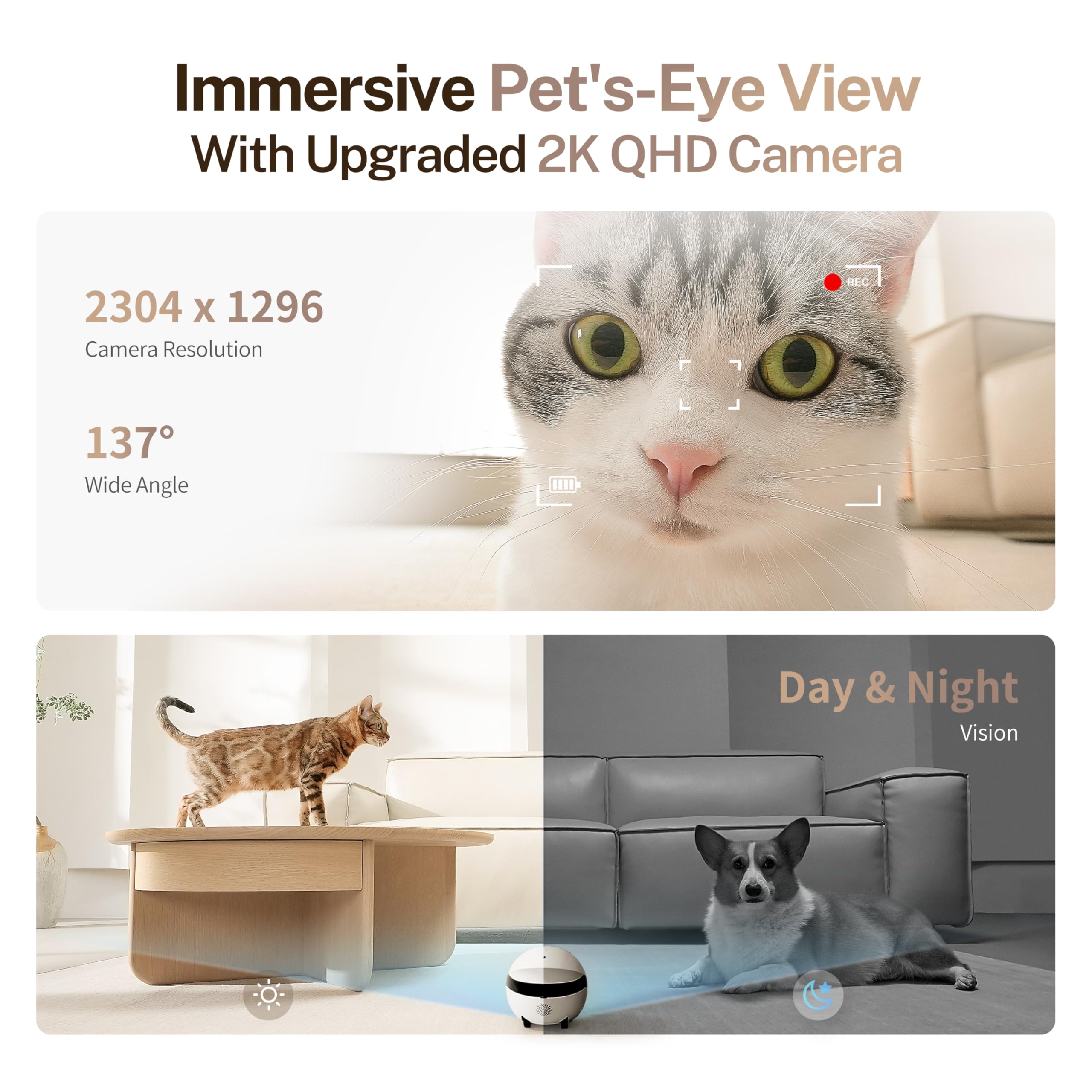 Enabot EBO ROLA Mini FamilyBot 2K Pet Camera Robot: Movable Indoor Camera Battery-Powered with Phone App, One-Touch Call, 2-Way Talk, Night Vision, Motion Detection, Video Recording