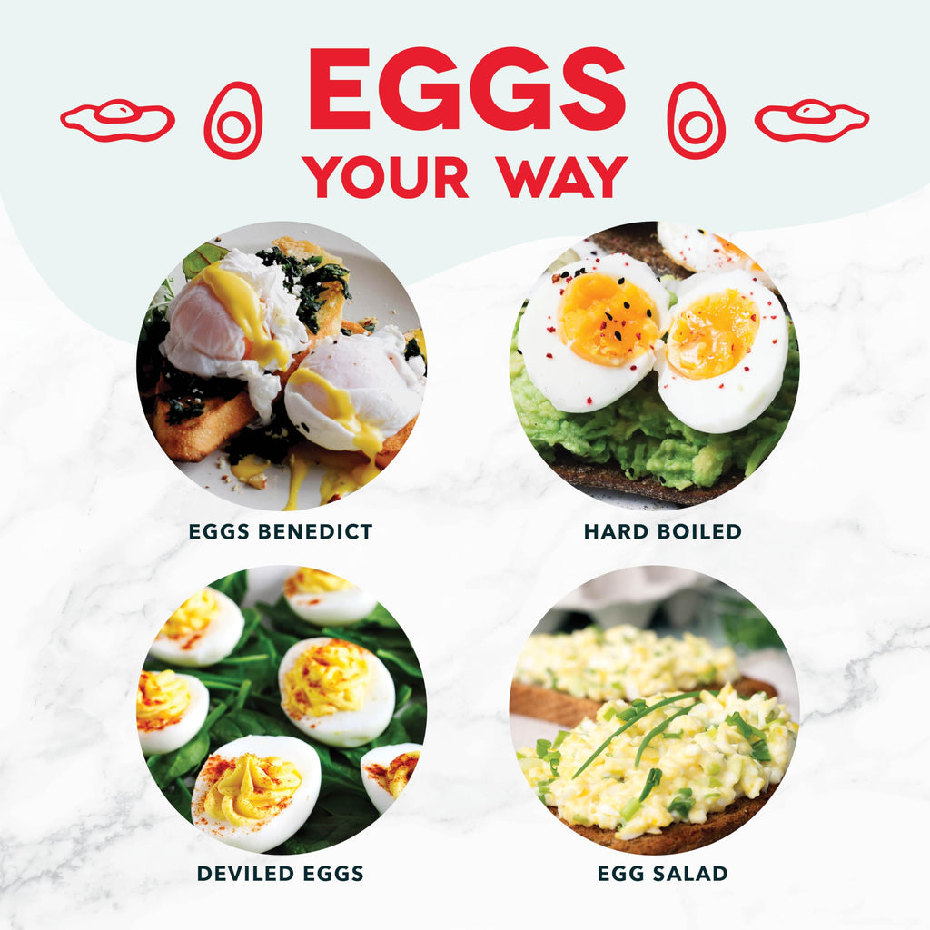 Dash Rapid Egg Cooker - Boiler, Poacher & Steamer - Includes Measuring & Recipe Guide - Dishwasher Safe - Holds 7 Eggs, Aqua