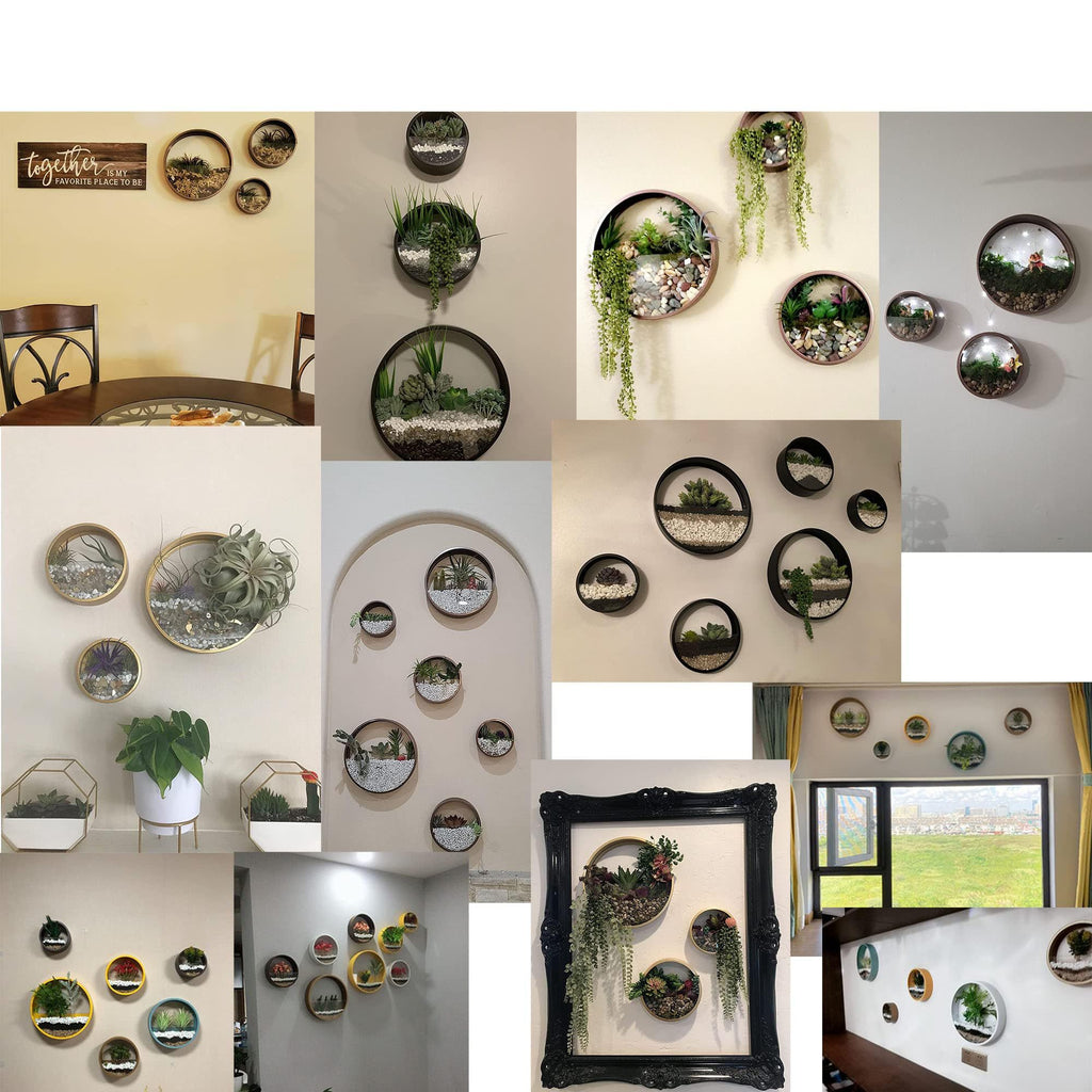 VEVLU 3 Pack Set Wall Planters,Modern Round Glass Wall Planter Succulent Planter Circle Iron Hanging Planter Vase for Herb,Small Cactus Perfect for Balcony, Room and Patio Decor (Black)
