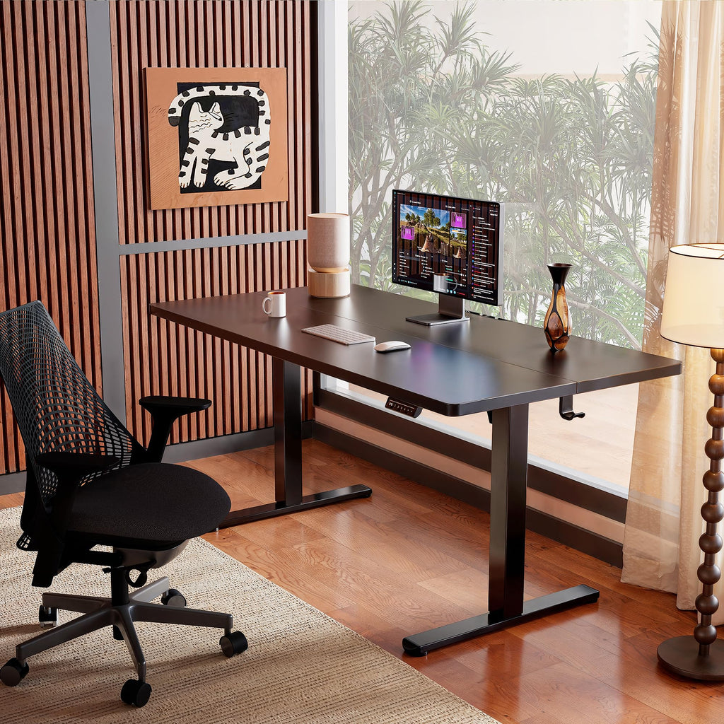 ErGear Height Adjustable Electric Standing Desk, 55 x 28 Inches Sit Stand up Desk, Memory Computer Home Office Desk, Black